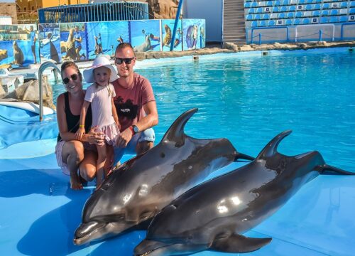 Delfinshow