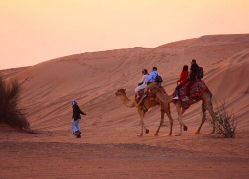 Familien-Safari-Abend