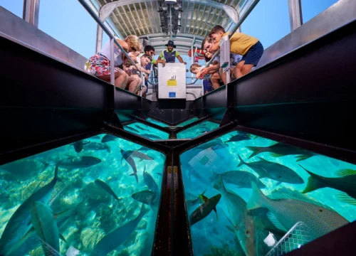 Sharm Glass Bootstour